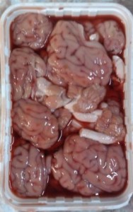 bucket o' lambs brains