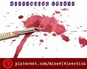 Dissection guides on Pinterest pinterest.com/missvivisection