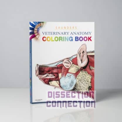 Saunders Veterinary Anatomy Colouring Book