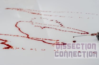 simulated blood available at dissection connection