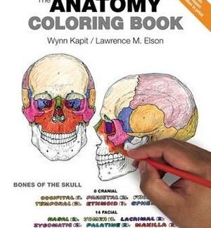 kapit and elsons the human anatomy colouring book 4th eition